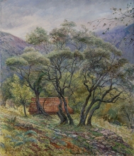 Old Olive Tree At St. Basil Church, Montenegro - oil, canvas