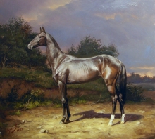 Black Beauty - oil, canvas