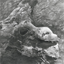 Nature Installation - pencil, paper