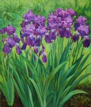 Irises In The Garden - oil, canvas